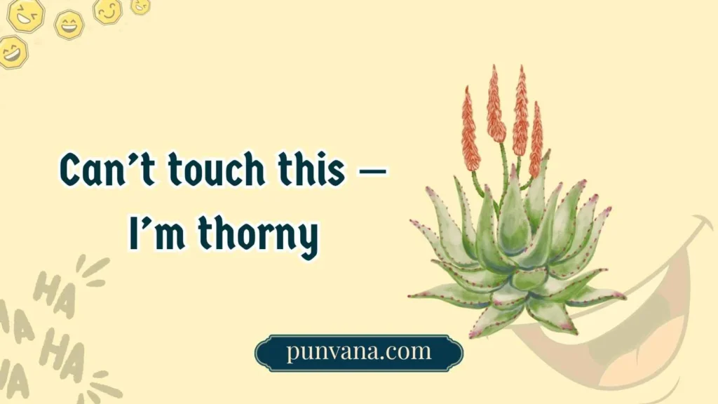 Funny Succulent Puns for Everyday Laughs