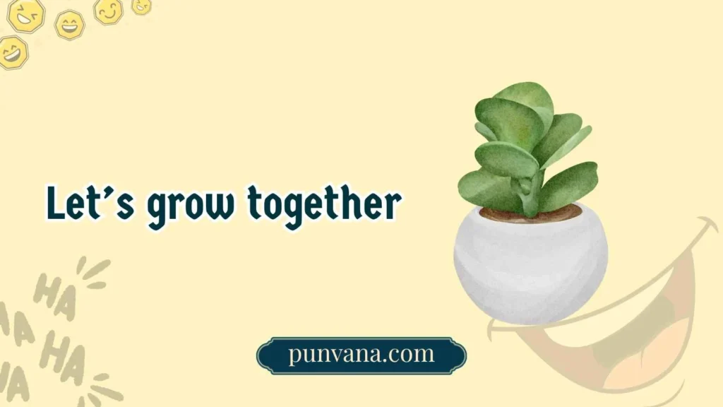 Succulent Puns for Kids