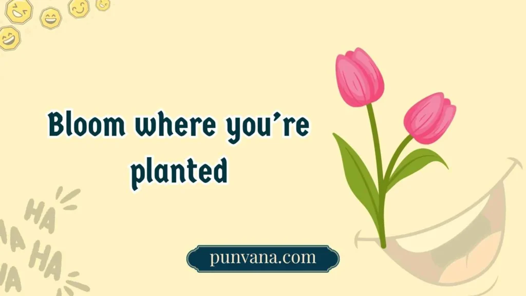 Tulip Puns for Everyday Laughs
