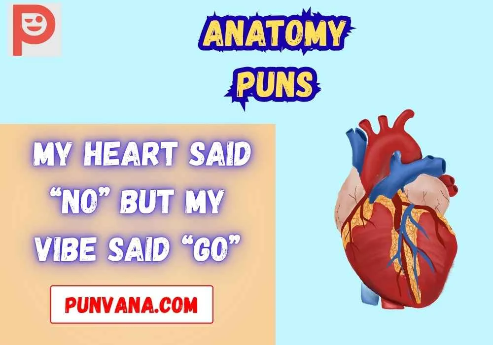 Anatomy puns dirty
