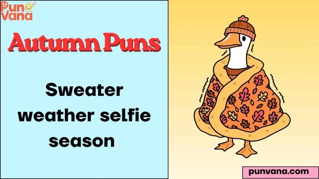 Autumn Puns for Instagram