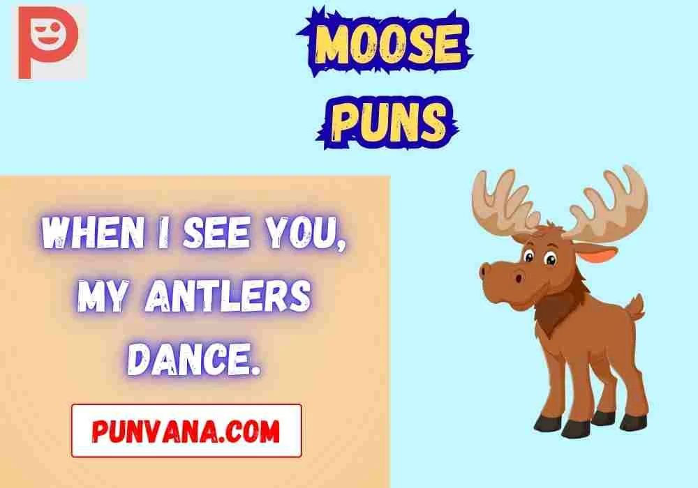 Best Moose Puns for Couples