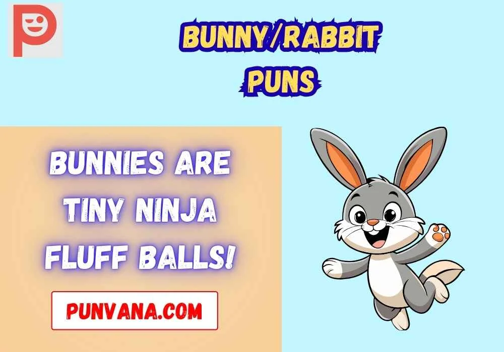 Bunny/Rabbit Puns One Liners