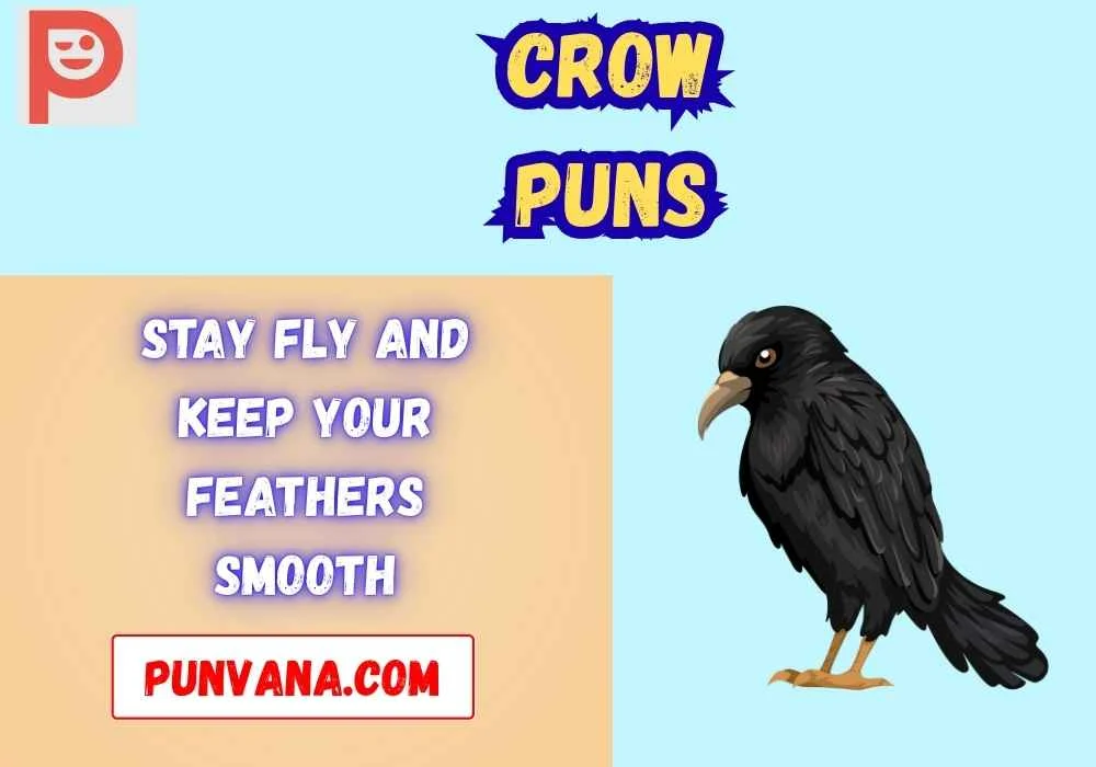 Crow Puns Captions
