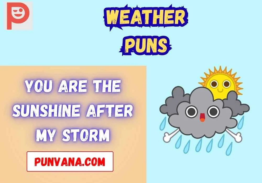 Cute Weather Puns