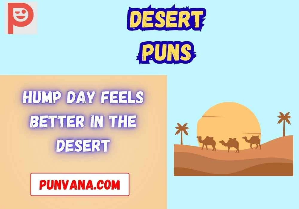 Desert Puns for Instagram