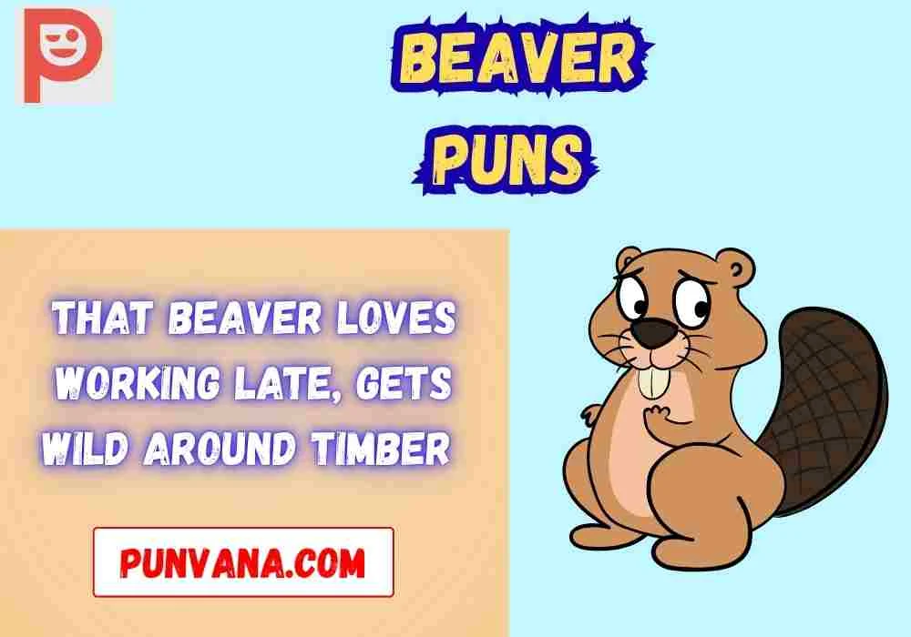 Dirty Beaver Jokes