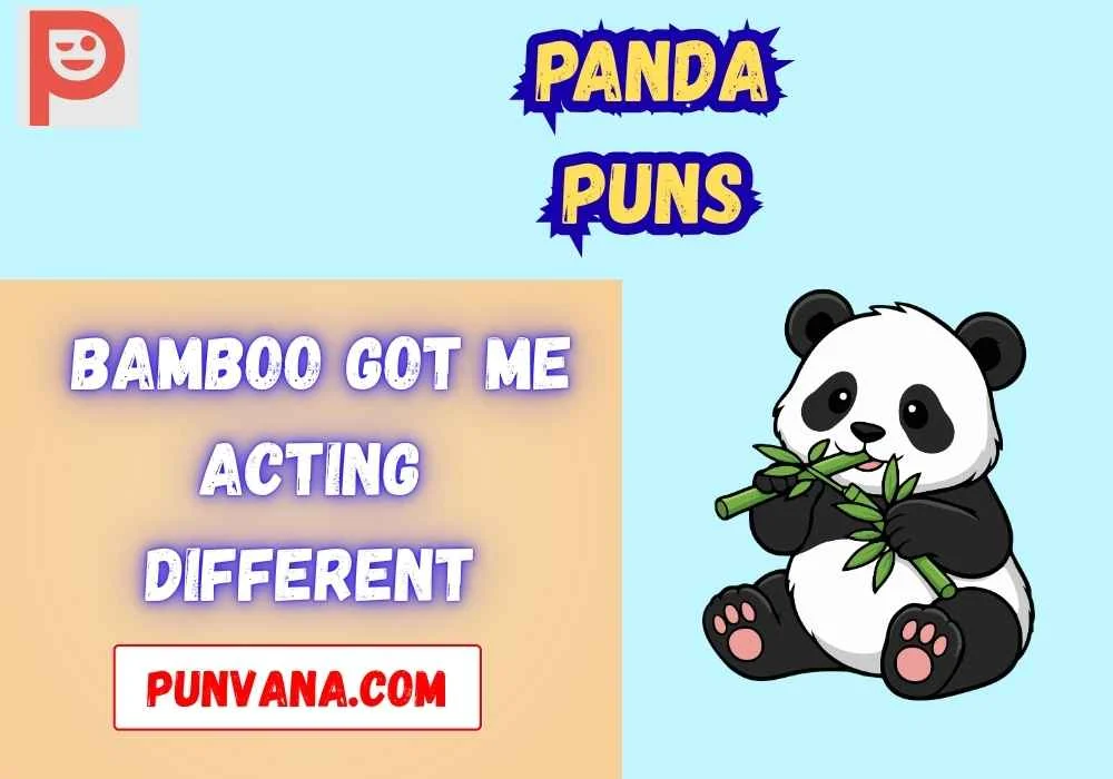 Dirty Panda Puns