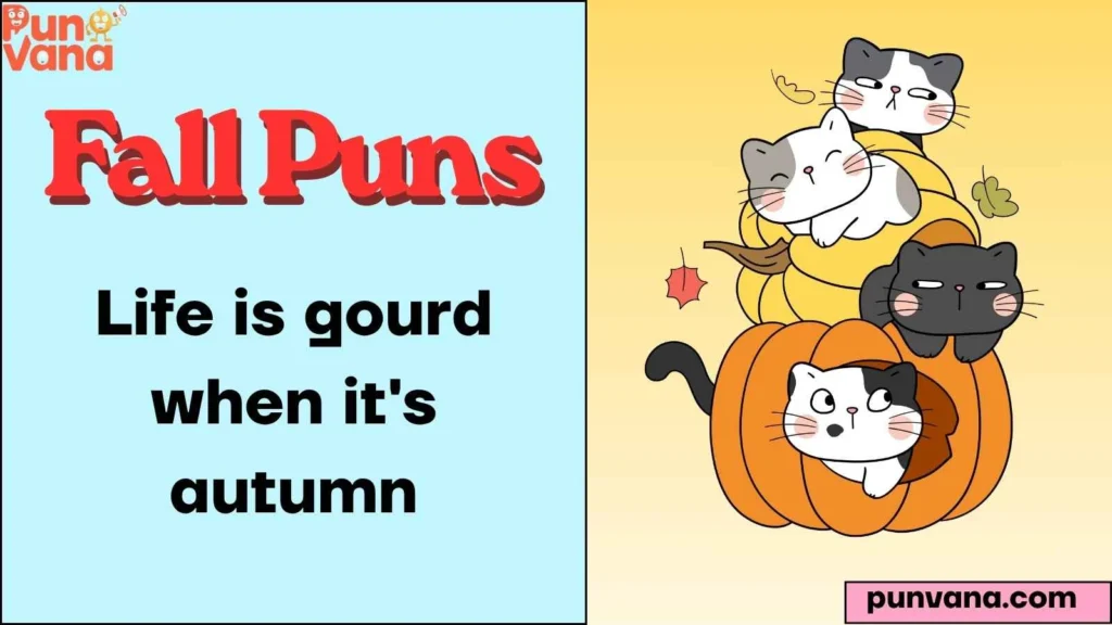 Fall Puns One Liners