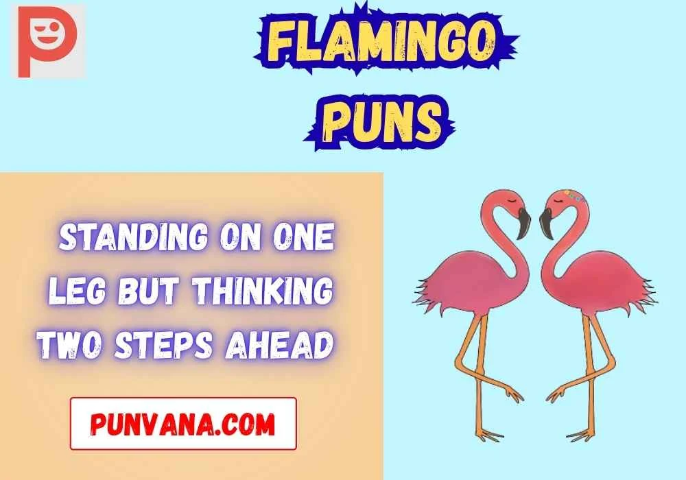 Flamingo Puns Dirty