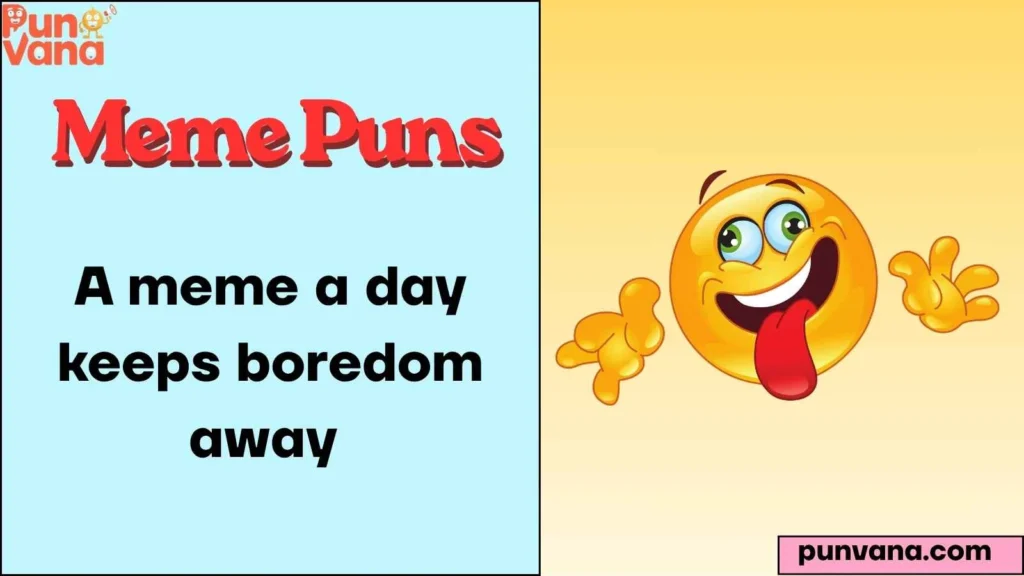 Funny Meme Puns