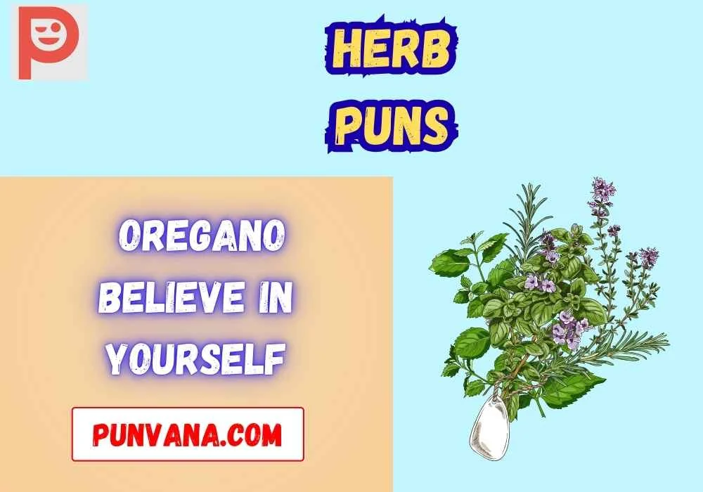 Herb Puns One Liners 