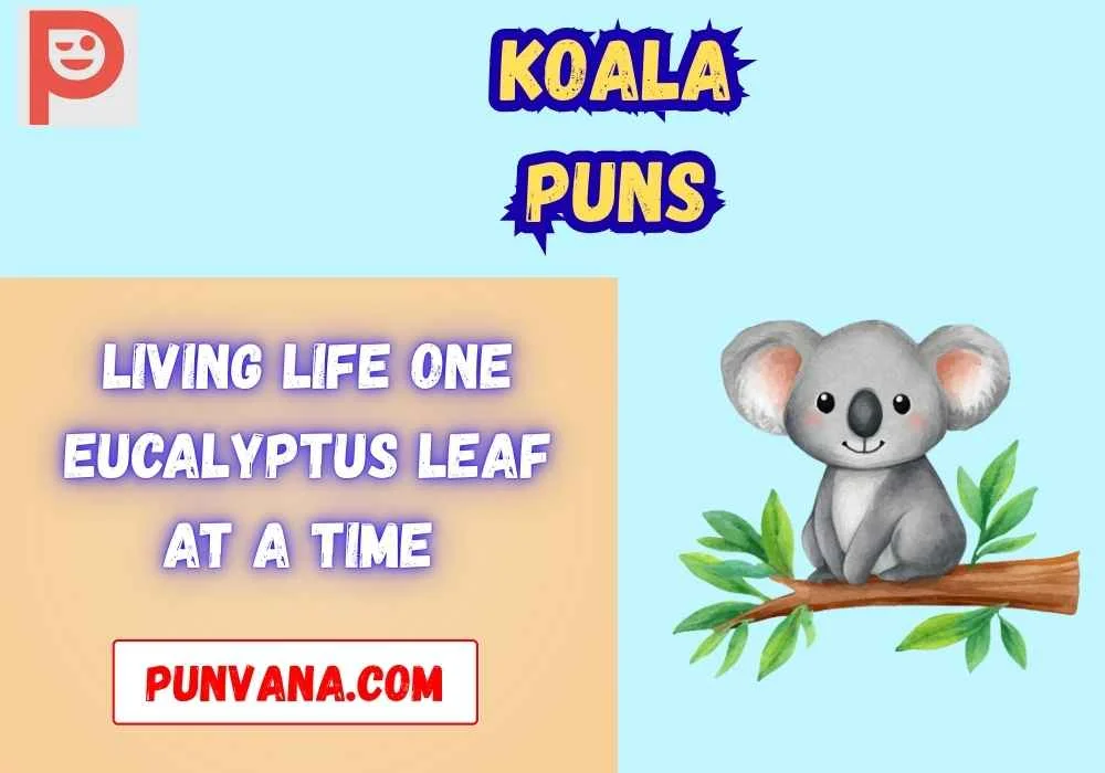 Koala Puns Captions