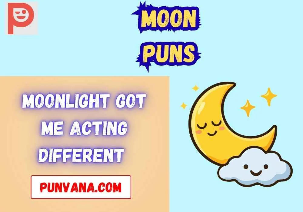 Moon Puns Dirty 