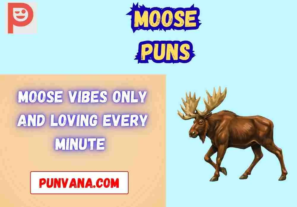 Moose Puns Captions