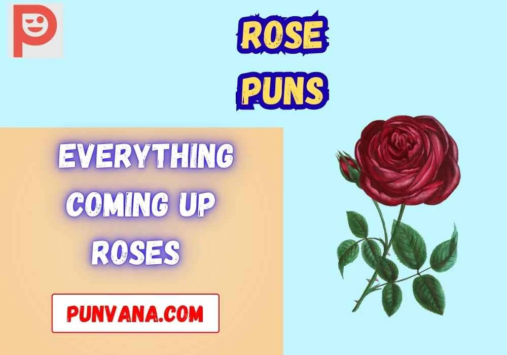 Rose puns captions