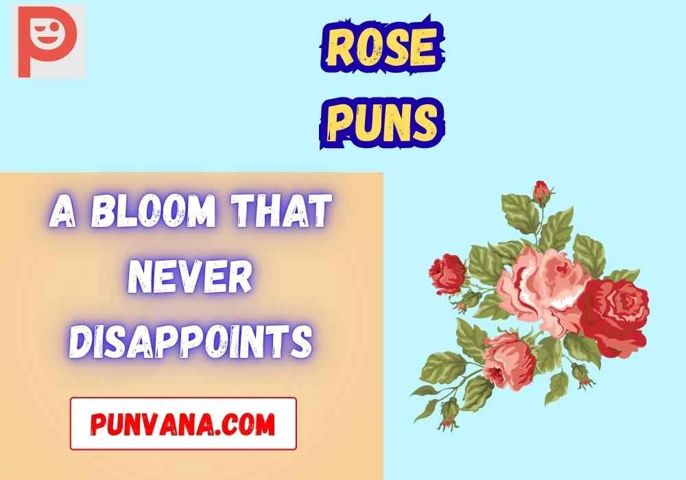 Rose to the occasion