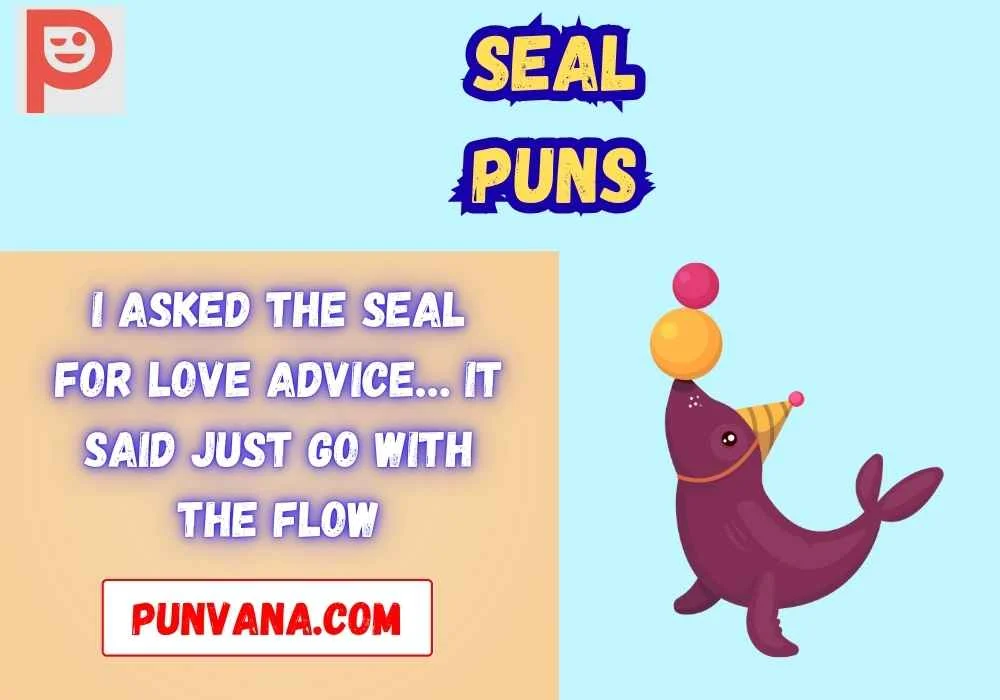 Seal Jokes One Liners for Adults