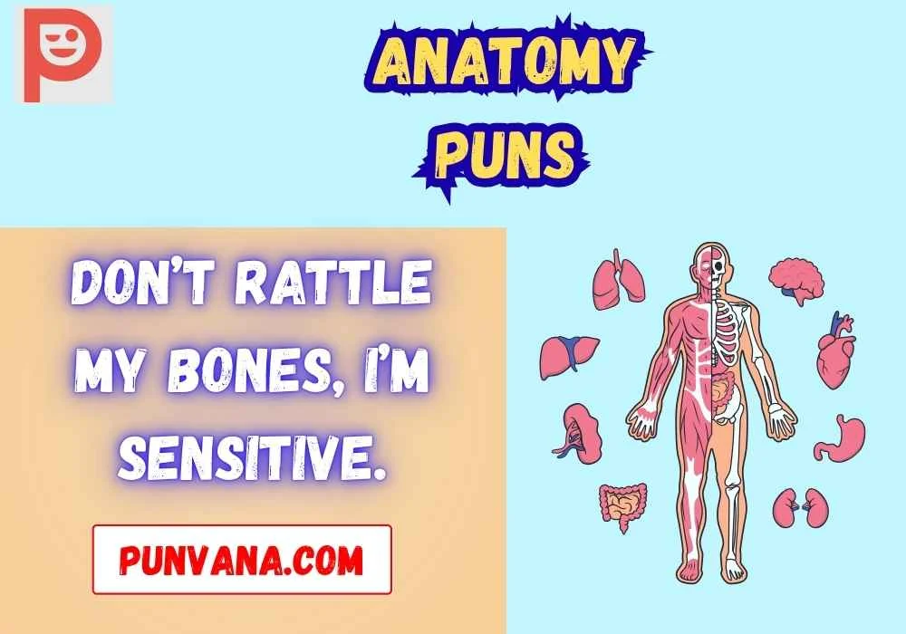 Skeleton and Bone Puns