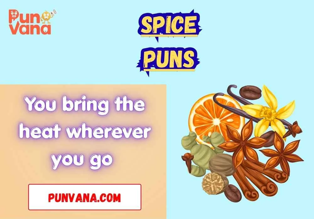 Spice Puns Dirty