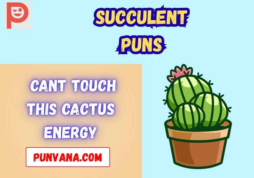 Succulent Puns For Instagram