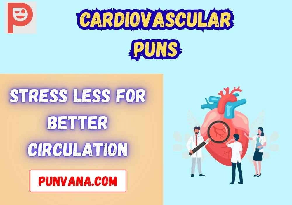 Clean Cardiovascular One-Liners