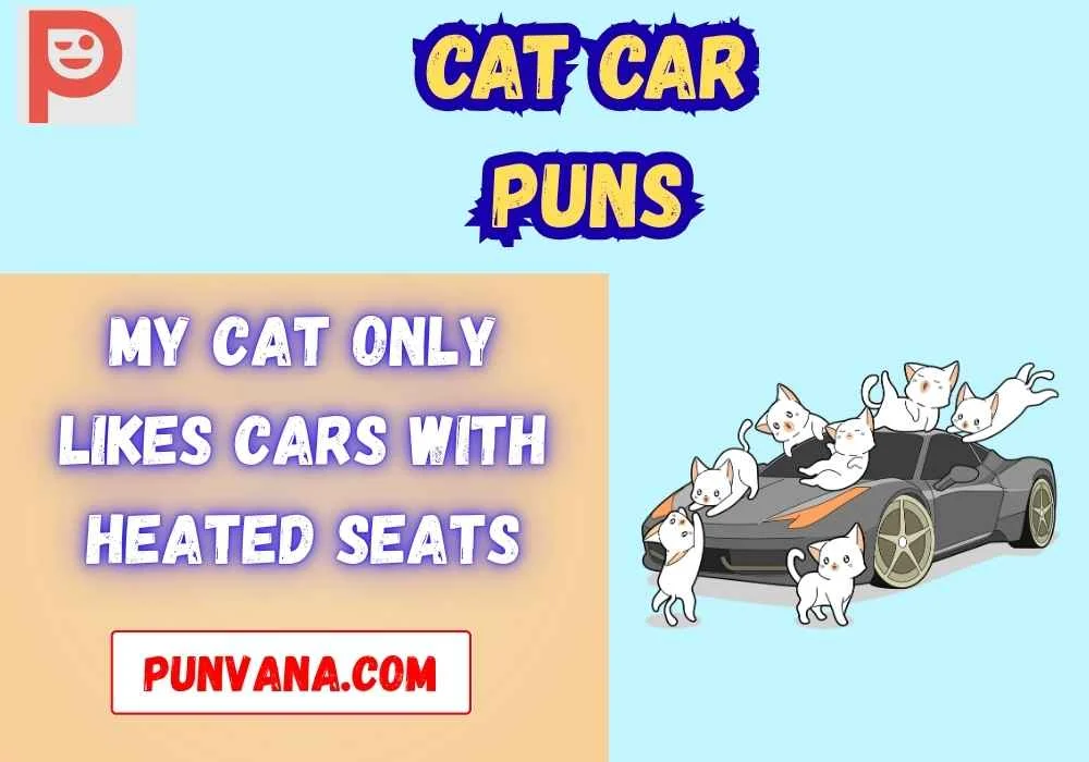 Cute Cat and Car Jokes