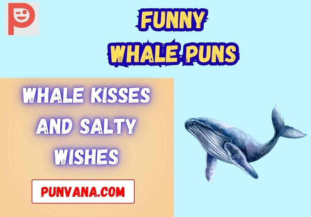 Cute Whale Puns for Instagram
