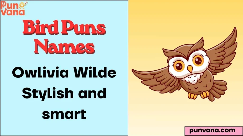 Owl Puns Names