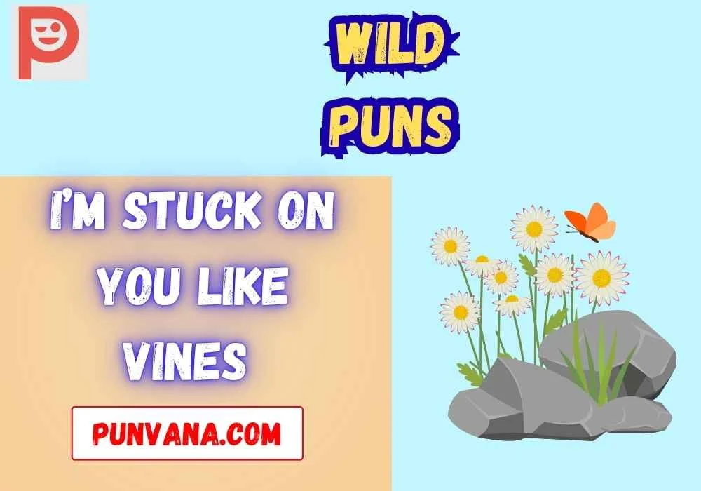 Wild Instagram Caption Puns