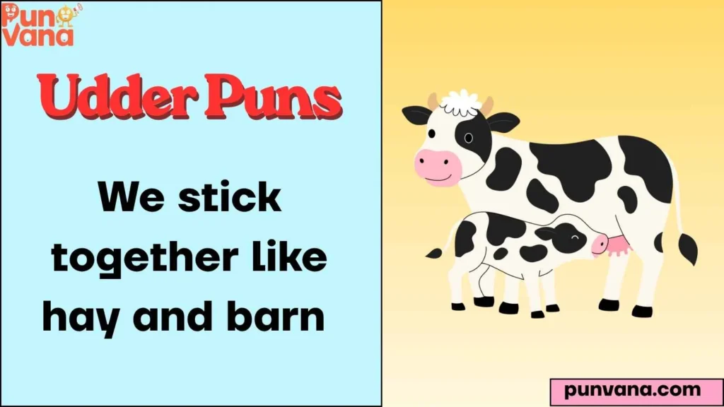  Calf & Cow Relationship Humor