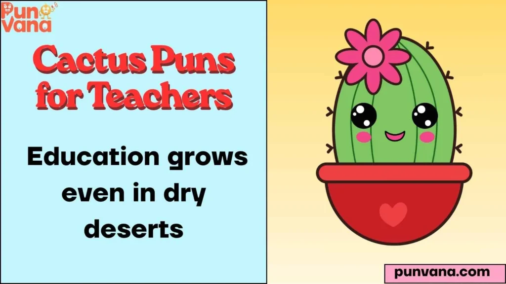  Education grows even in dry deserts