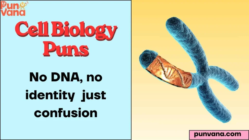  DNA & Genetics Giggles 