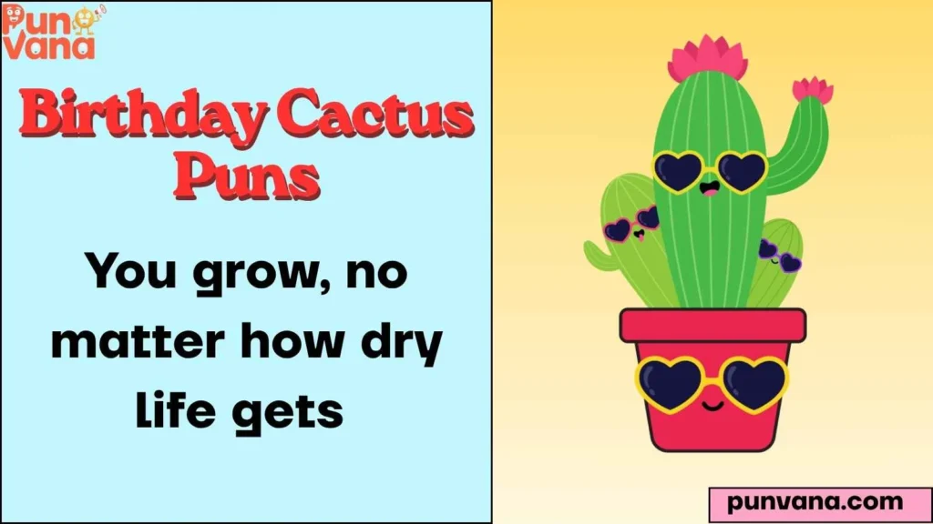 Funny Birthday Cactus One-Liners