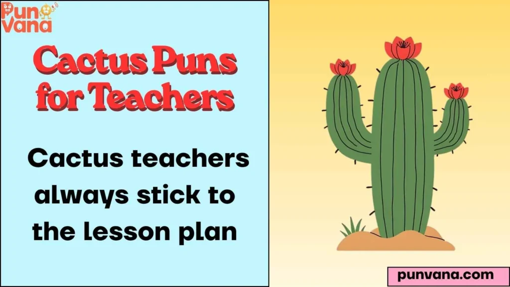 Funny Cactus Puns for School Life