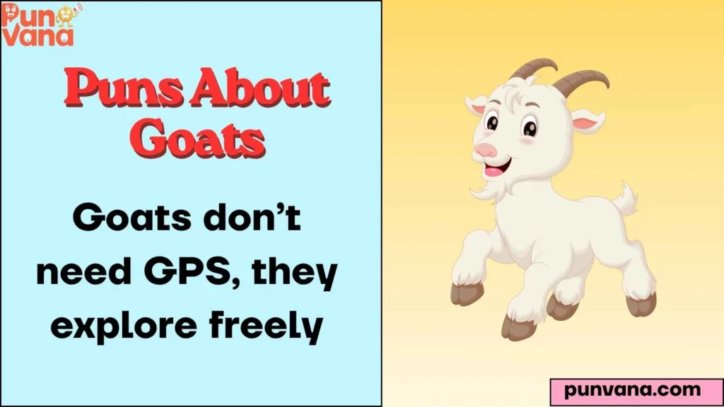  Funny Goat Life Moments