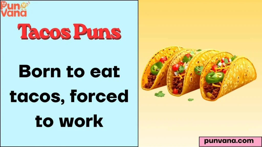 Funny Taco One-Liners That Hit Hard