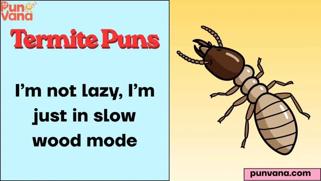 Funny Termite One-Liners