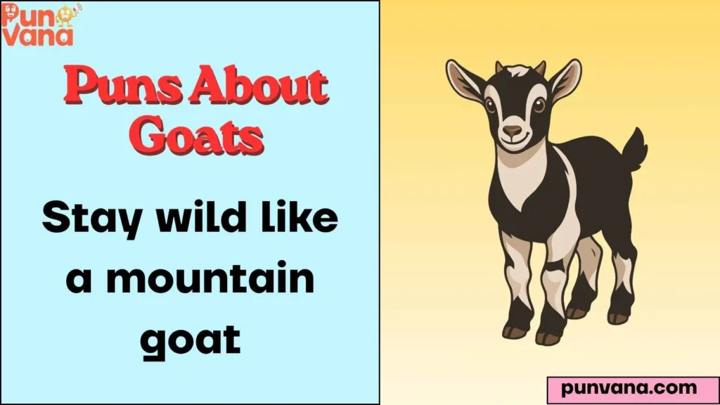  Goat Meme Caption Gold