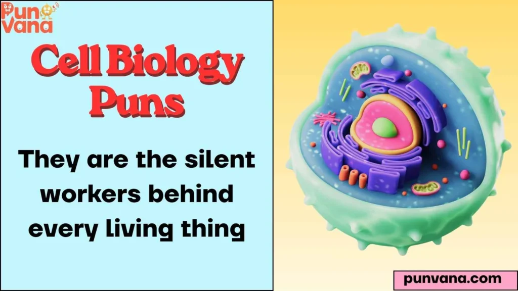  Ribosome Roasts  Protein Factories