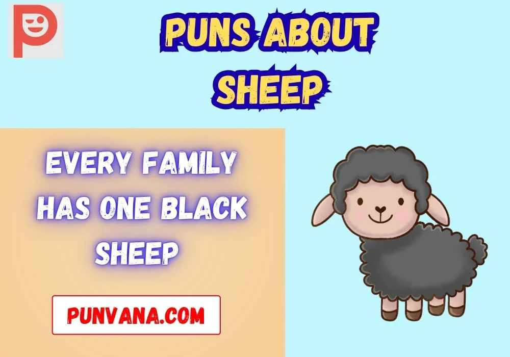Sheep Puns for Friends