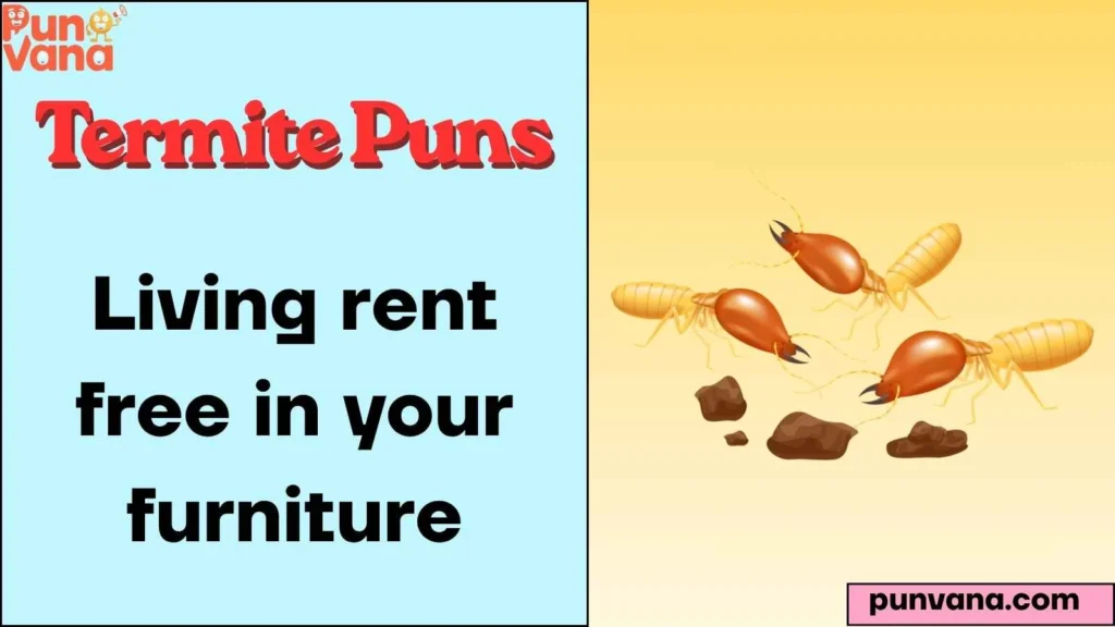 Social Media Captions