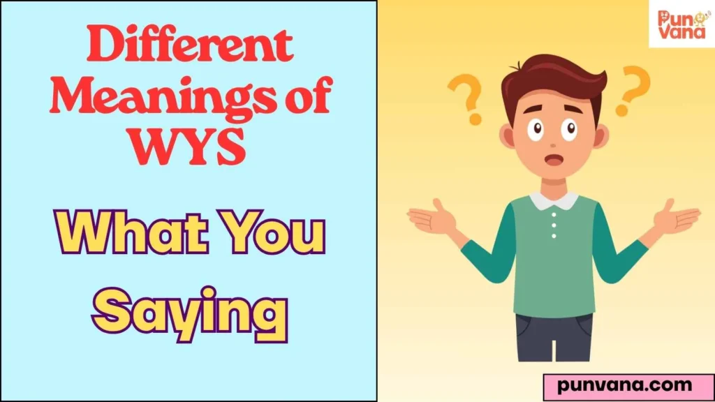 Different Meanings of WYS