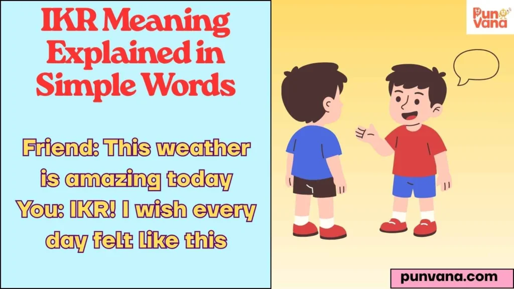 IKR Meaning Explained in Simple Words
