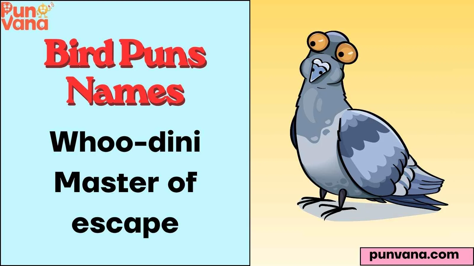 Bird Puns Names