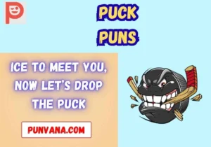 Puck Puns