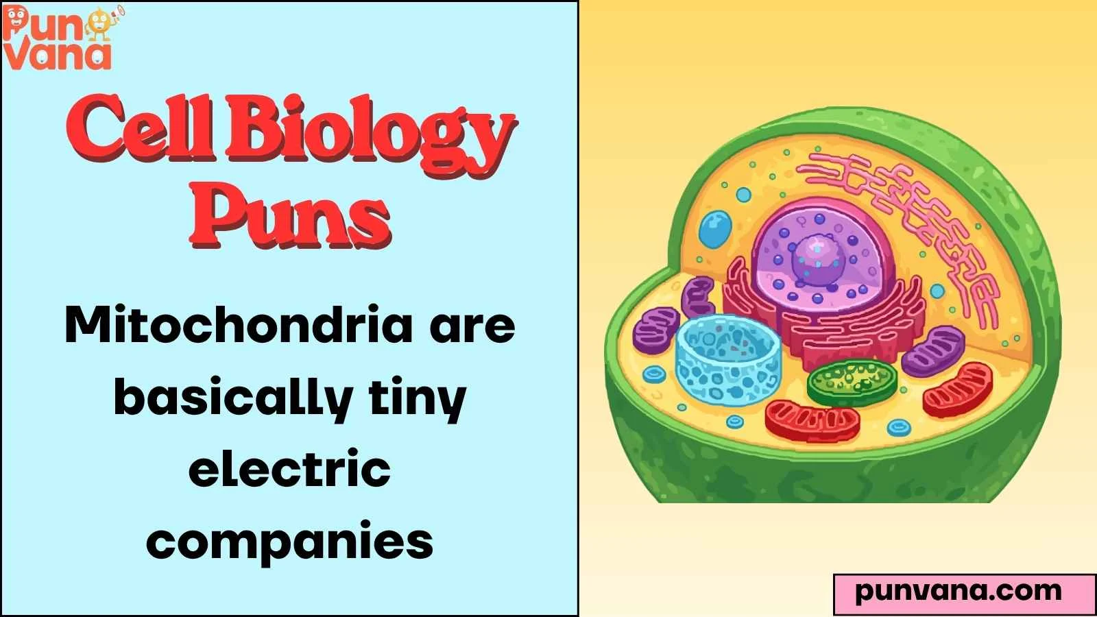Cell Biology Puns