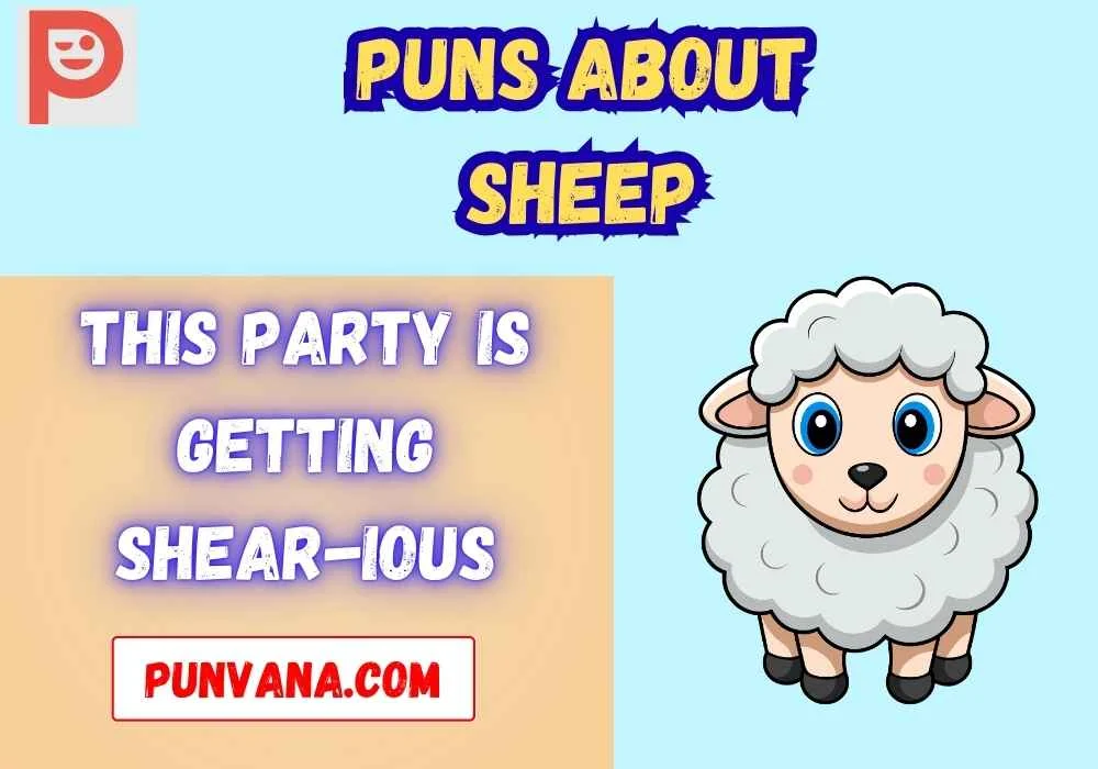 Puns About Sheep