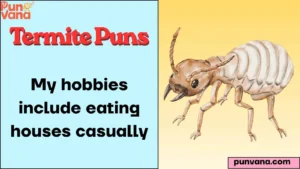 Termite Puns