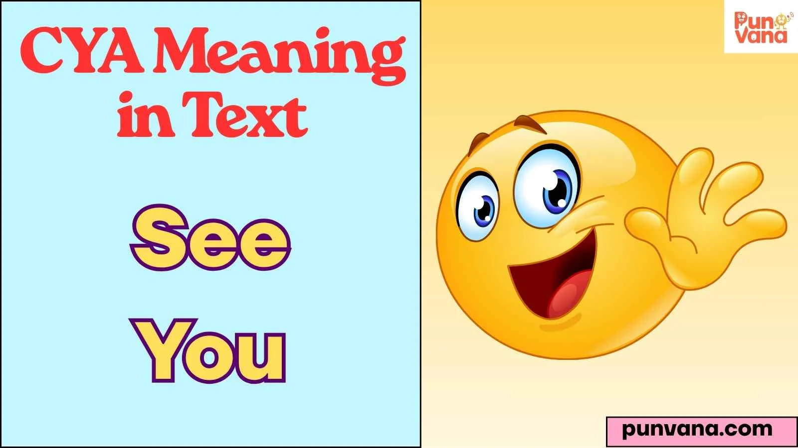CYA Meaning in Text